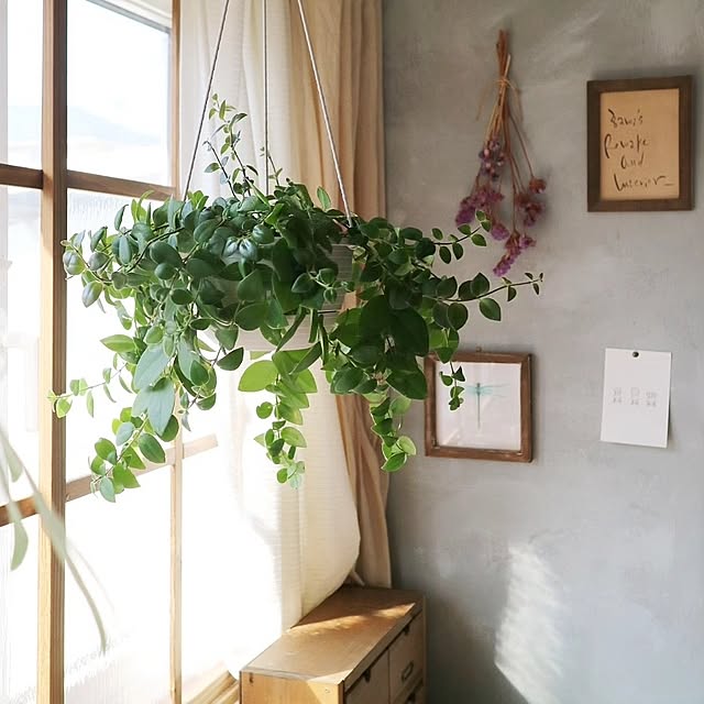 fumi_3さんの部屋