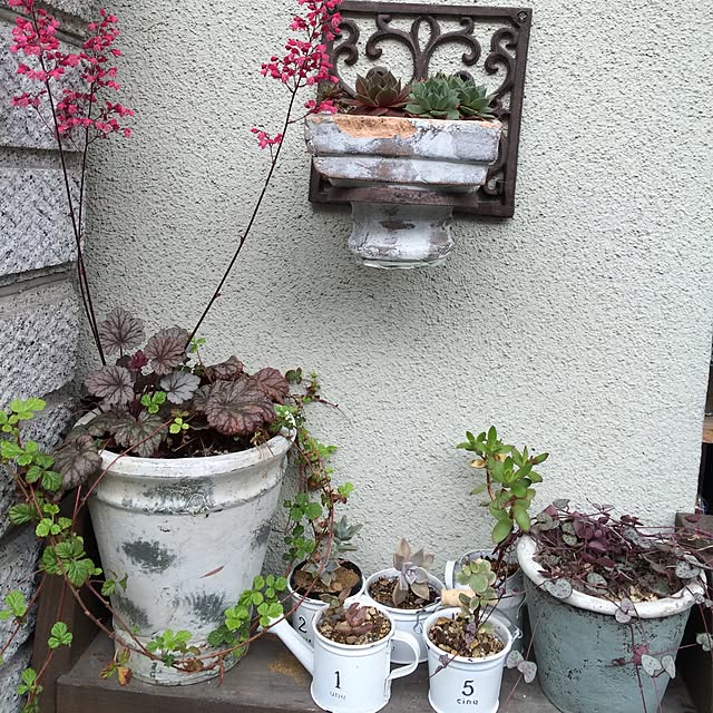 実例写真