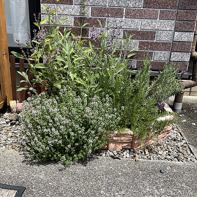 tentenさんの実例写真
