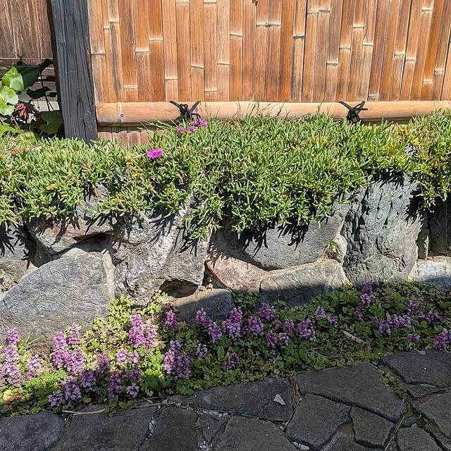 kuririnmamaさんの部屋