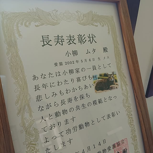 MM360さんの部屋