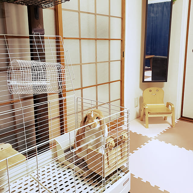 m_geneさんの実例写真