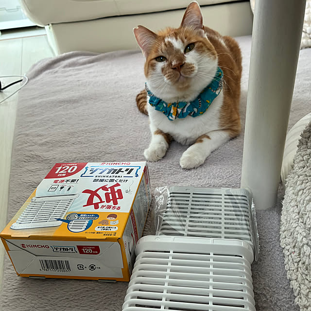 mikenekoさんの部屋