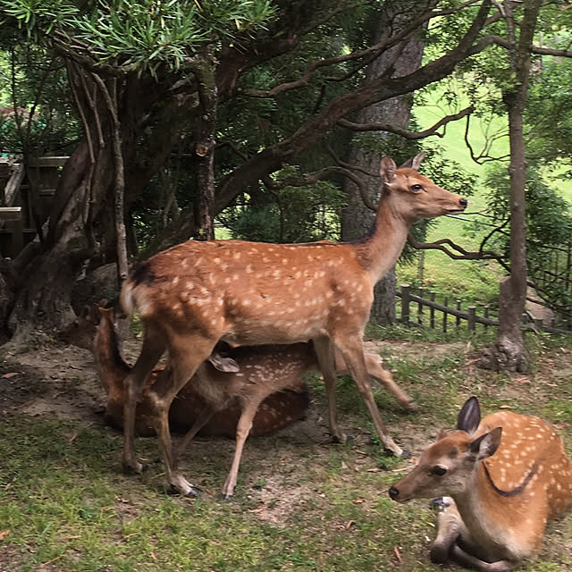実例写真
