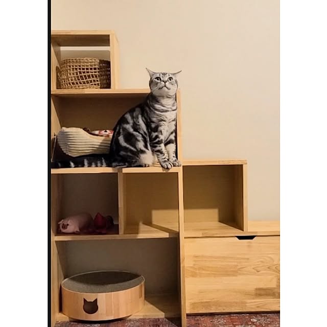 lovepeaceさんの部屋