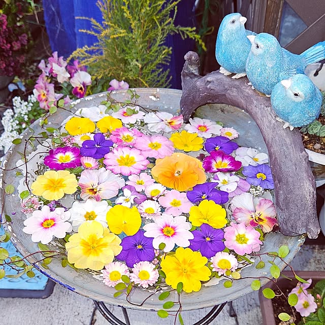 mocomocoさんの実例写真