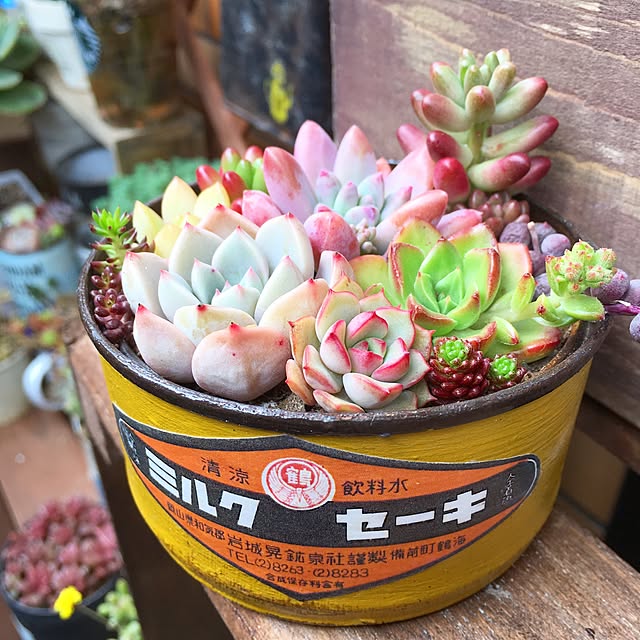 rupunさんの実例写真