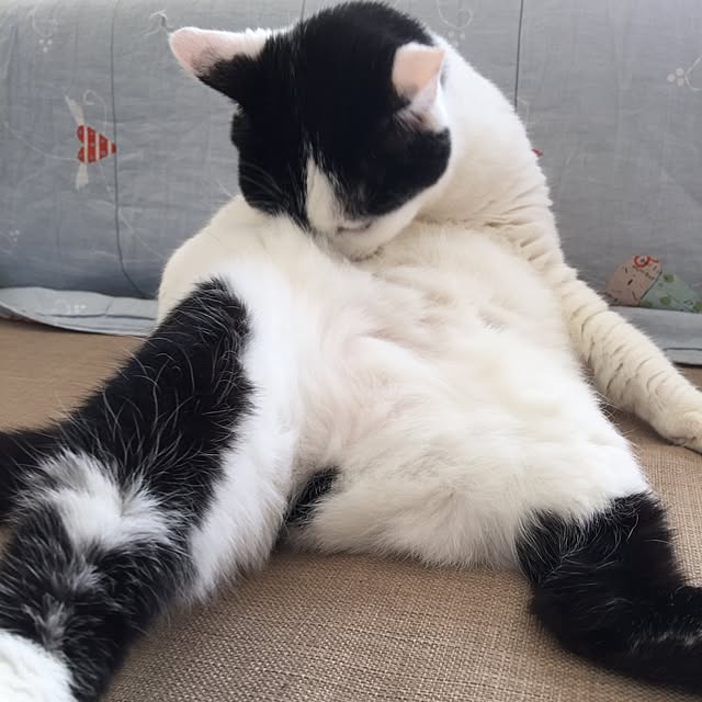 mileyさんの実例写真