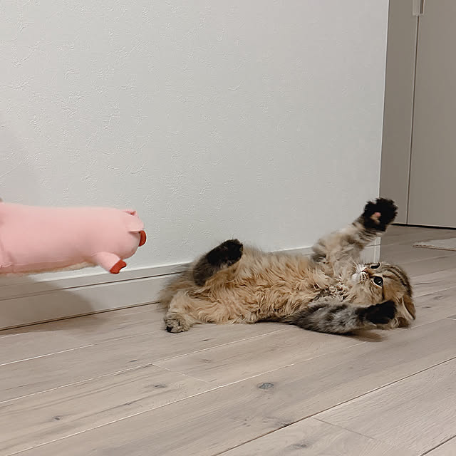miyu39さんの実例写真