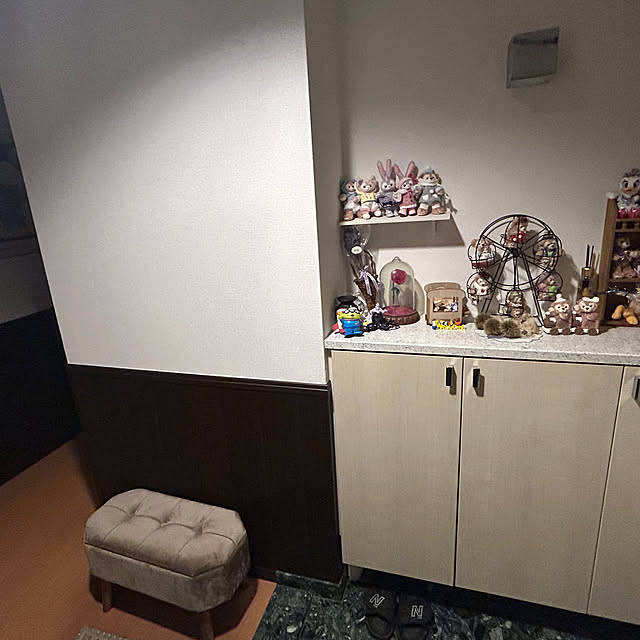 玄関/入り口のインテリア実例 - 2025-01-30 09:21:40