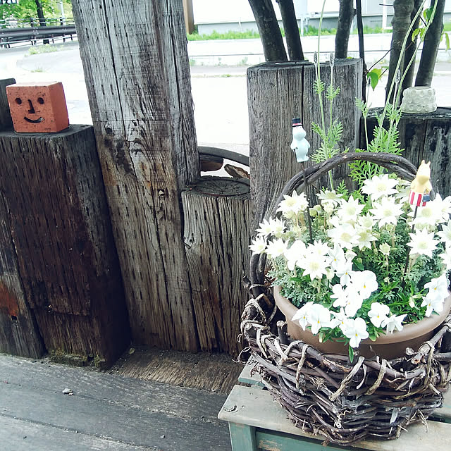 okeiさんの実例写真