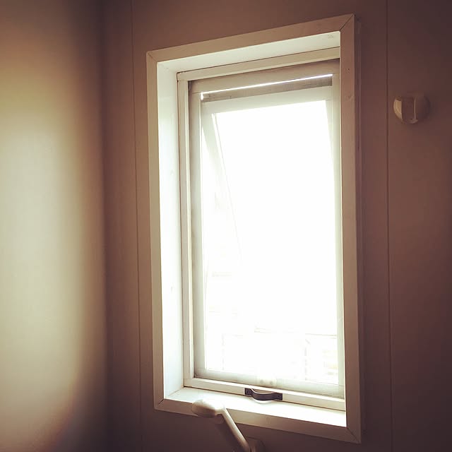 satohさんの実例写真