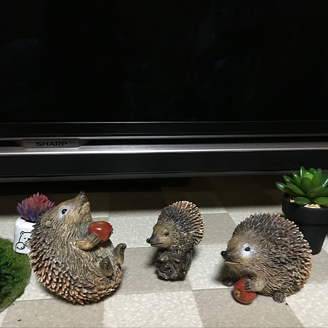 sakuranboさんの実例写真