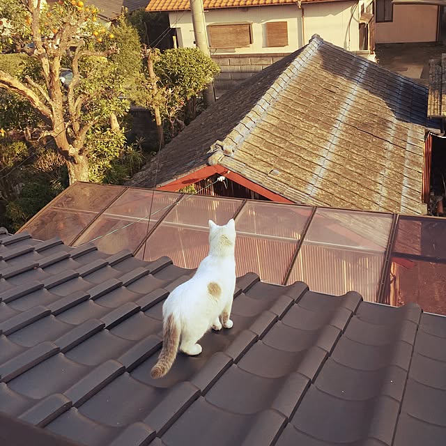 Akaneさんの実例写真