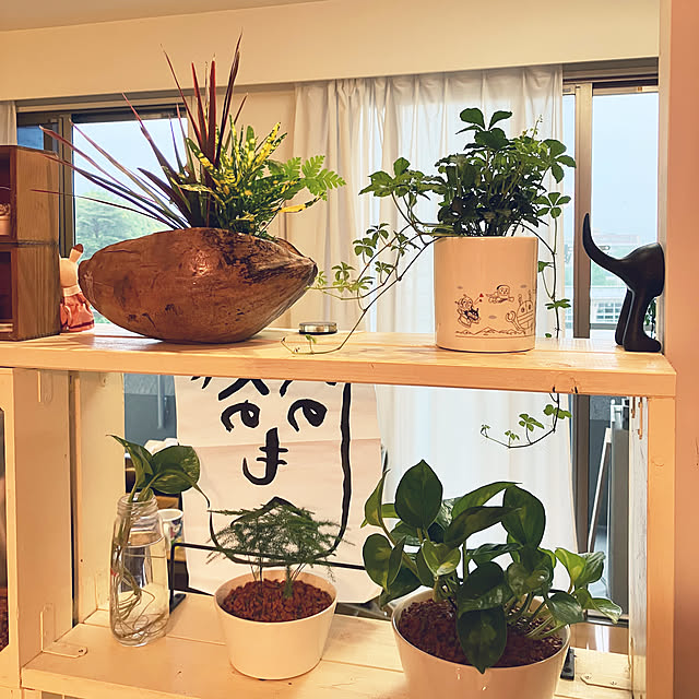 koshiregutyoさんの部屋