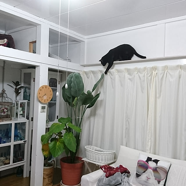 taleo07さんの実例写真