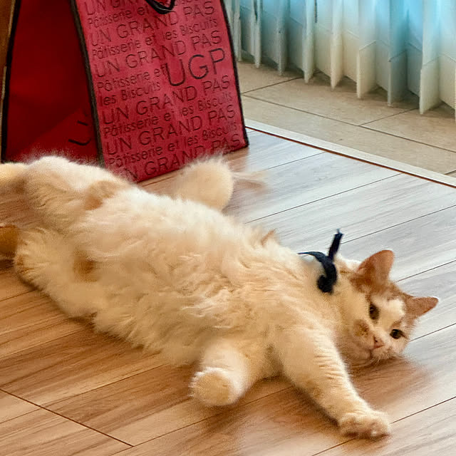 yutaさんの部屋
