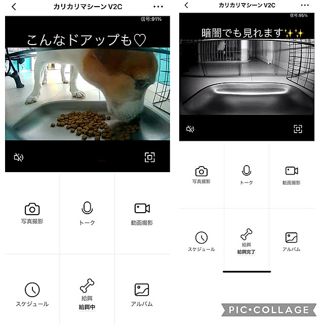 kittyさんの部屋