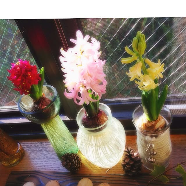 chiekoさんの実例写真