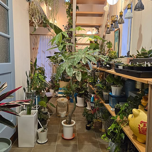 nonbiri_house_さんの部屋