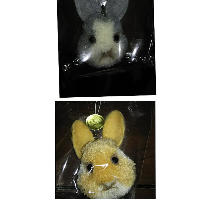 Risaさんの実例写真