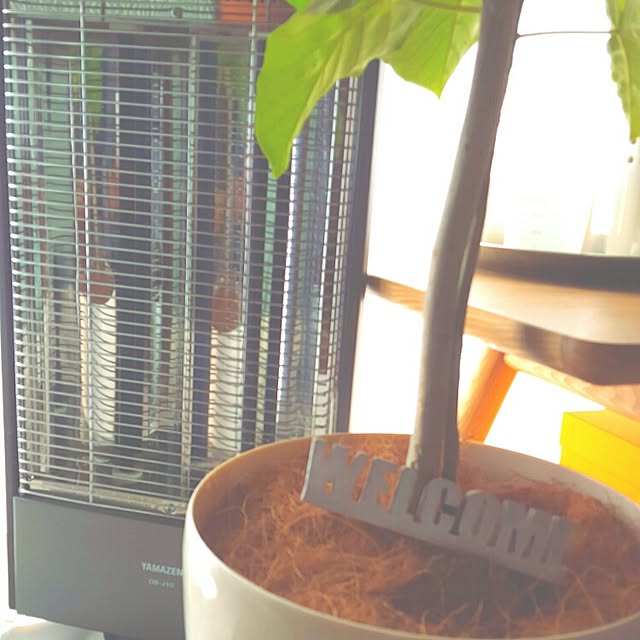 Mikaさんの実例写真