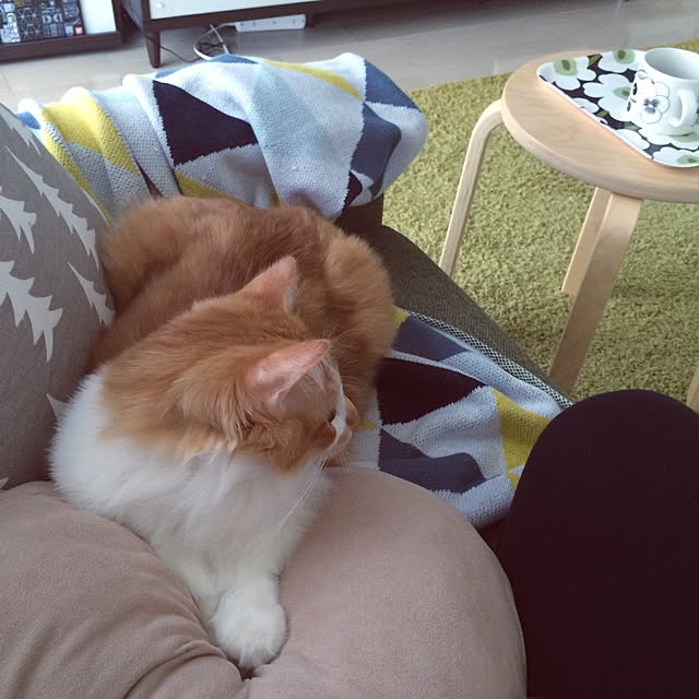 Reikoさんの実例写真