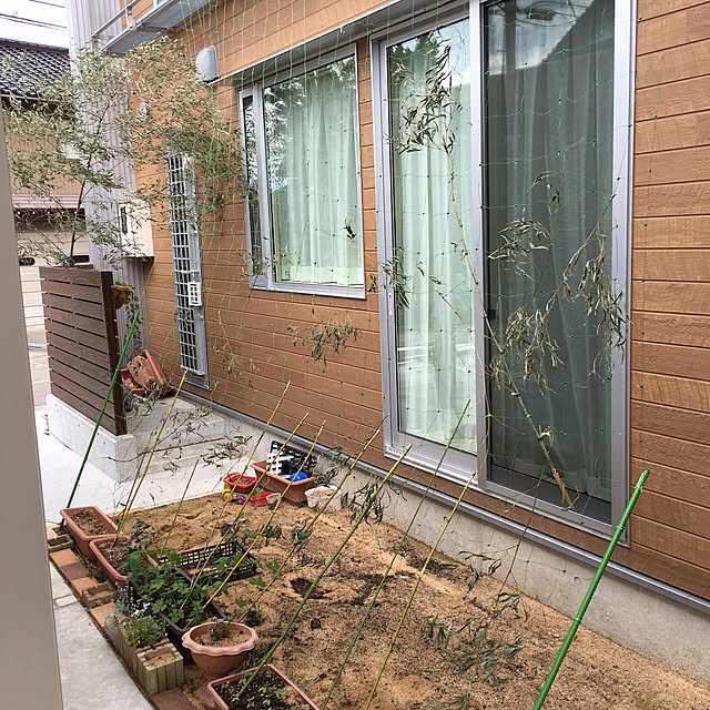 taitaiさんの実例写真