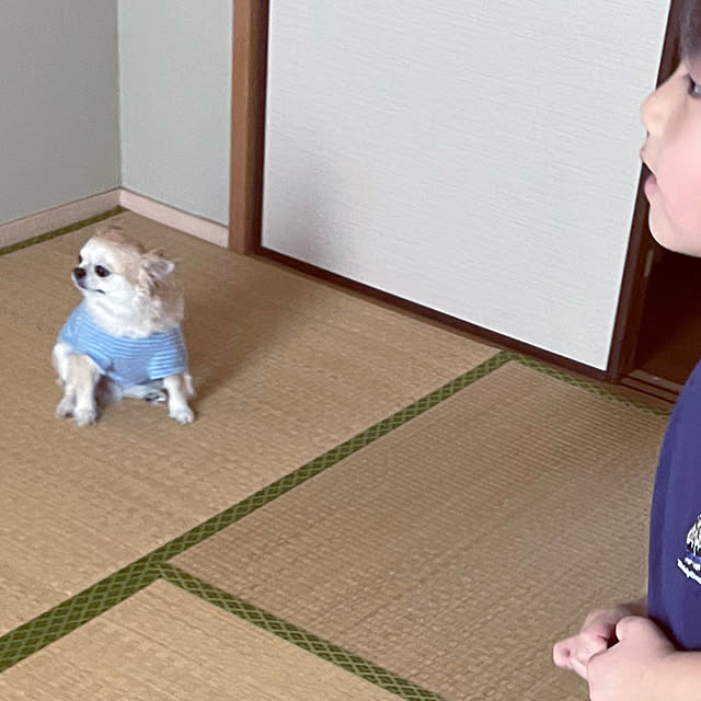 natsumiさんの部屋