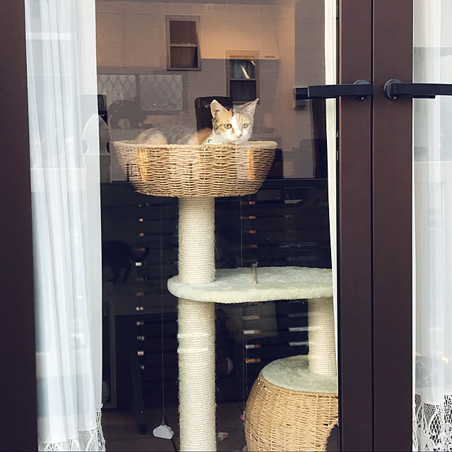 mimaさんの実例写真