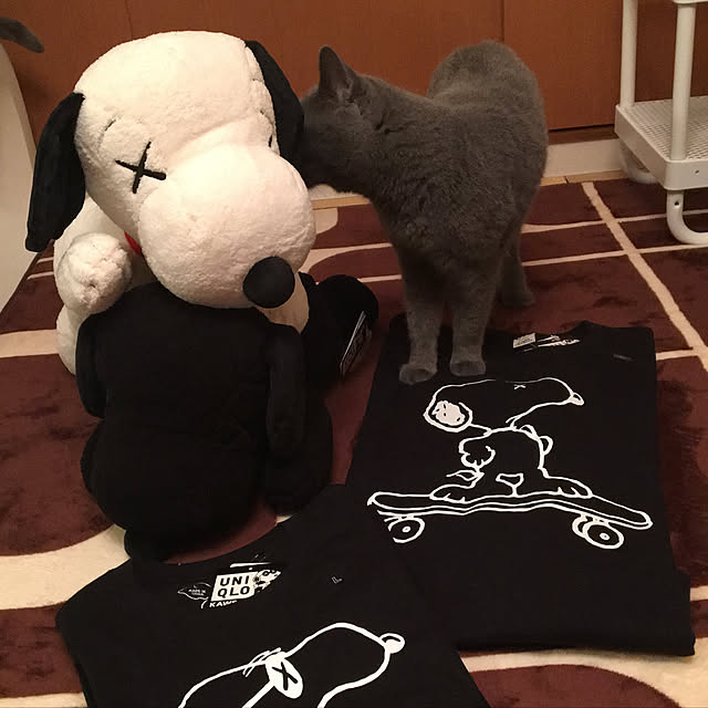 ikettenさんの実例写真