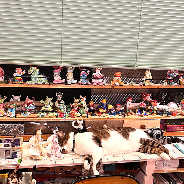 jijiさんの実例写真
