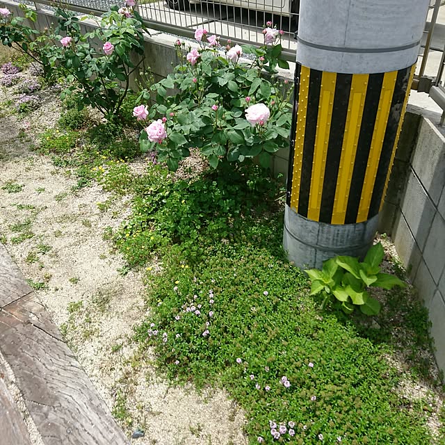 mieuxさんの実例写真