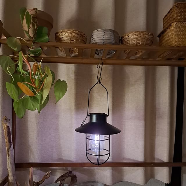 midoriさんの部屋