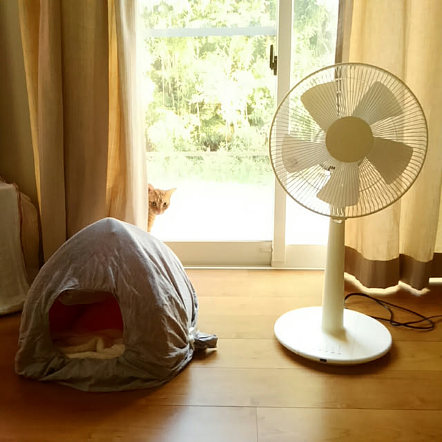 mayutan.さんの実例写真