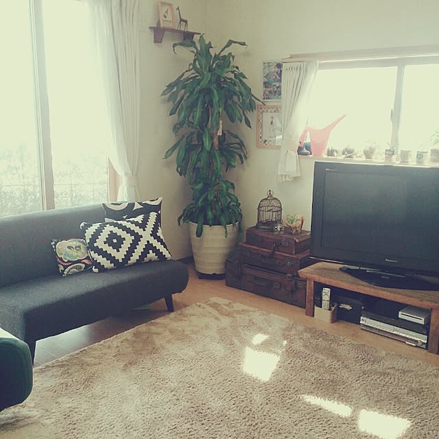 useimama83132513さんの実例写真
