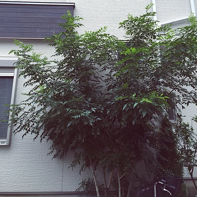 -TDK-さんの実例写真