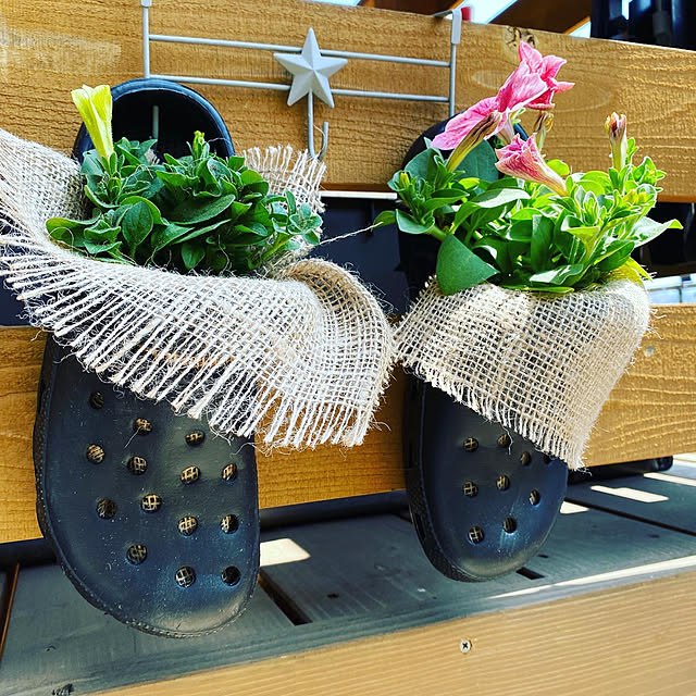 momokumiさんの実例写真