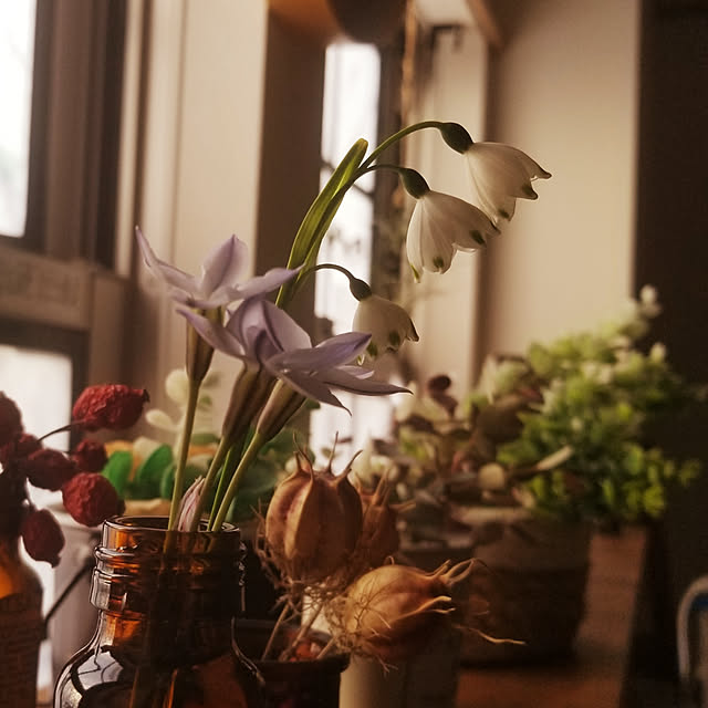 Mikaさんの実例写真