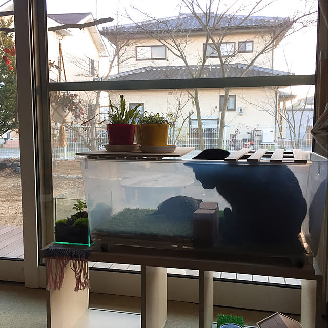 nanaさんの実例写真