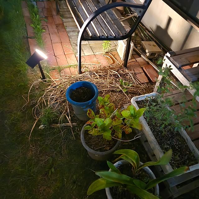 fuchan0930さんの部屋