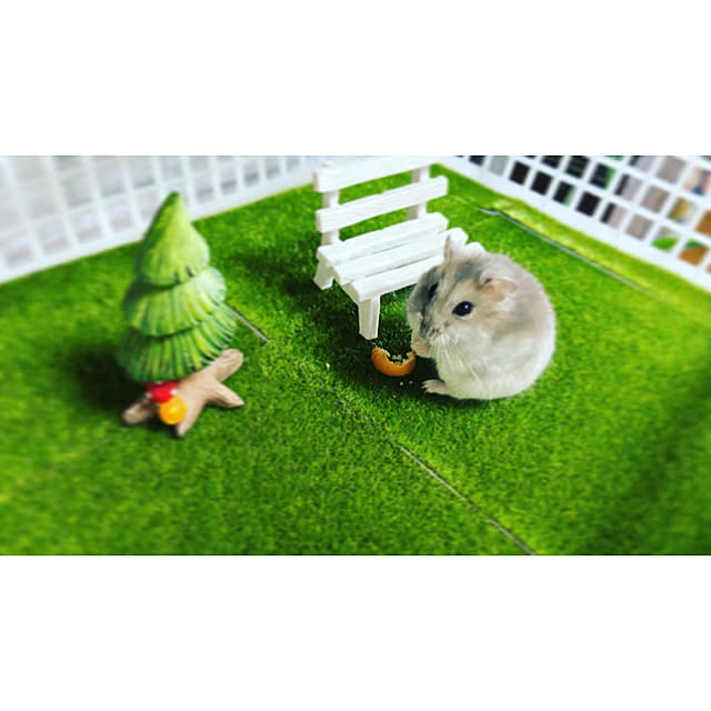 ramuneさんの実例写真
