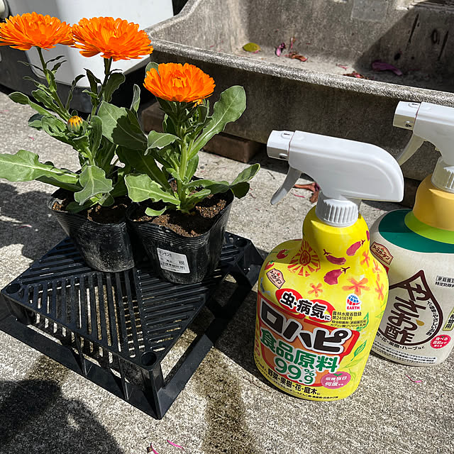 mogumoguさんの実例写真