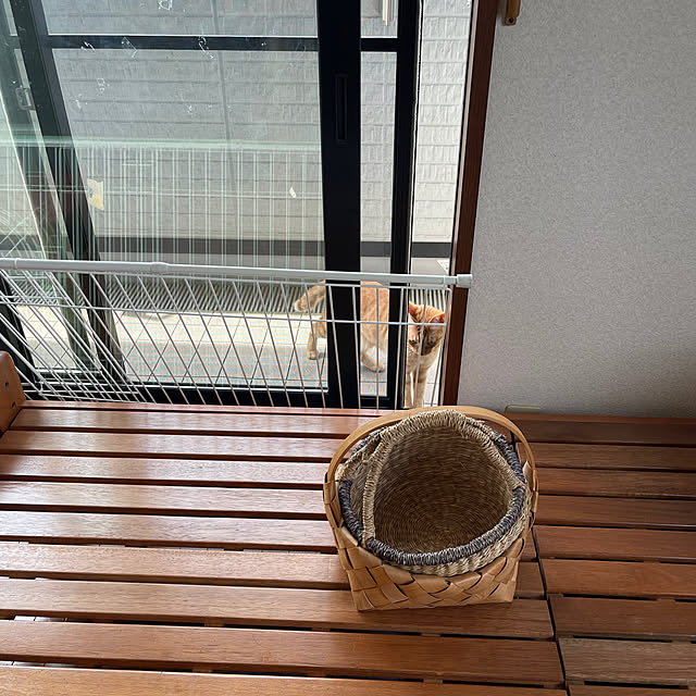 kikiさんの部屋