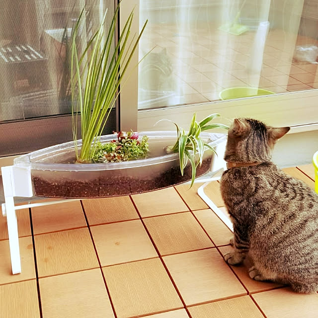 nellyさんの実例写真