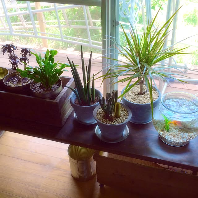 haruさんの実例写真