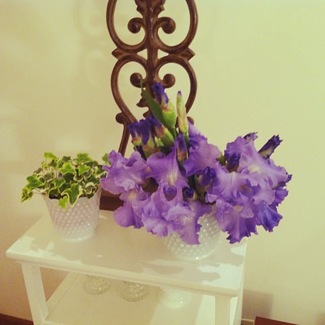 frenchshabbyさんの実例写真
