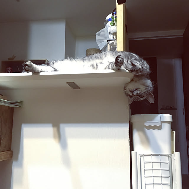 mikomaruさんの実例写真