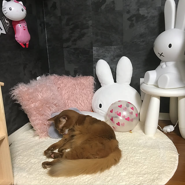 barabaraさんの実例写真