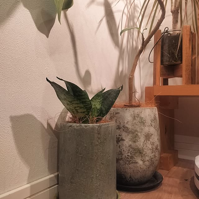 ayumiさんの部屋